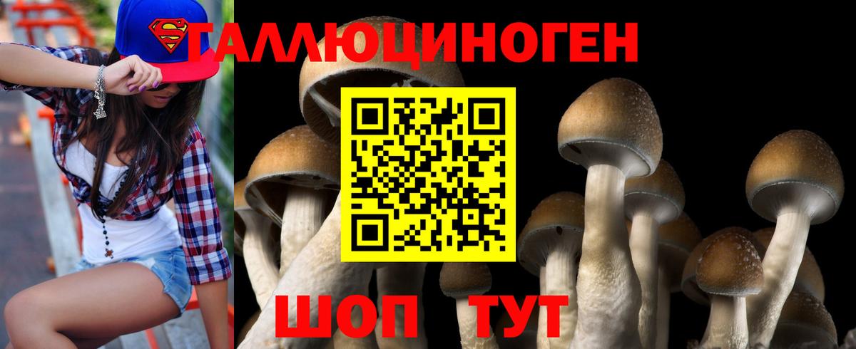 Псилоцибиновые грибы MAGIC MUSHROOMS  Вход с VPN  Псилоцибиновые грибы Psilocybe  Котовск 